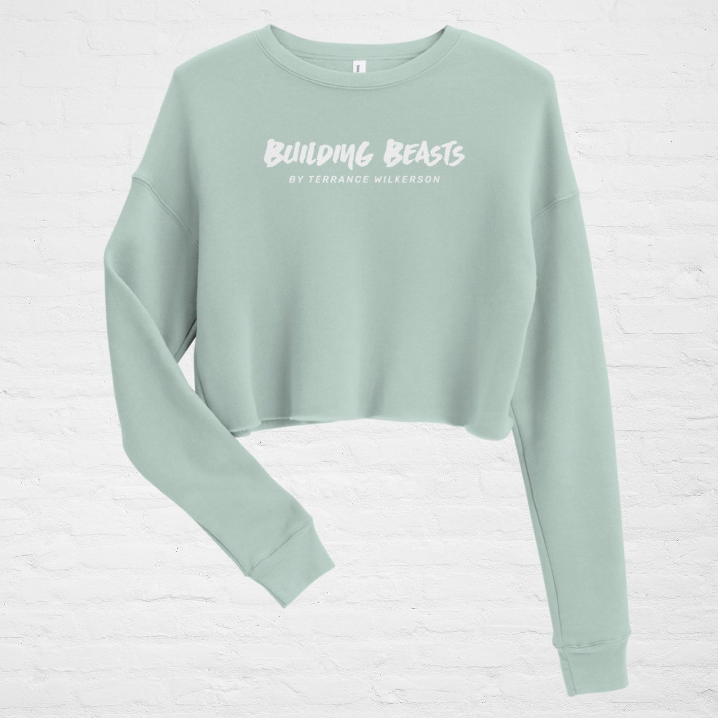 Crop Sweatshirt